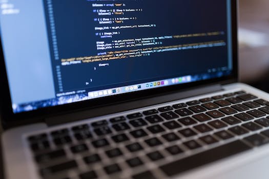 Apa itu Developer Wordpress