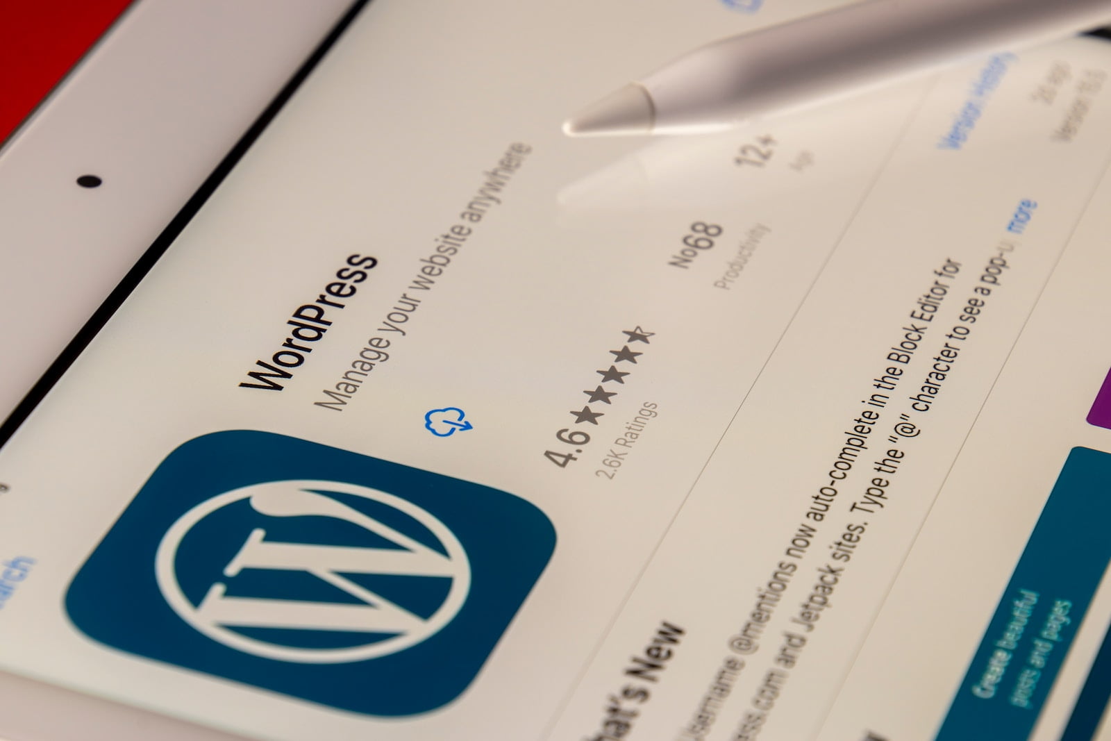 Membangun Website Lebih Cepat